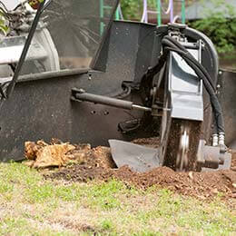 Stump Grinding/Removal
